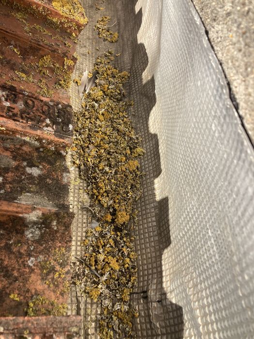 Limpeza de algerozes