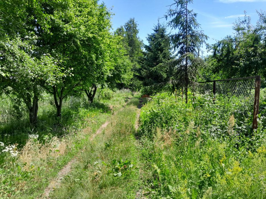 Продам будинок с. Свидівок