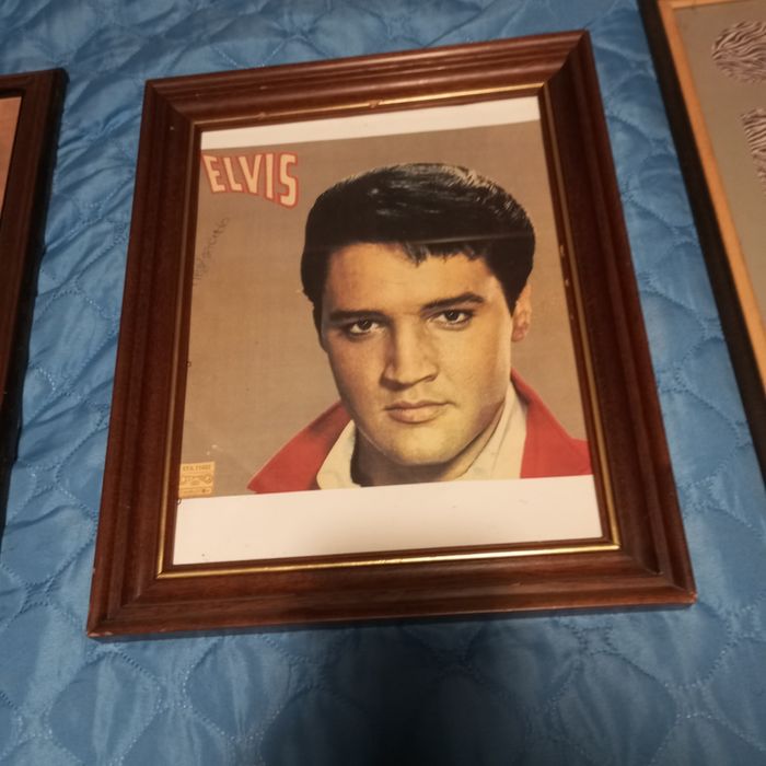 5 quadros decorativos