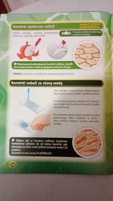Mój pierwszy mikroskop - naukowa zabawa -  zabawka dla dzieci
