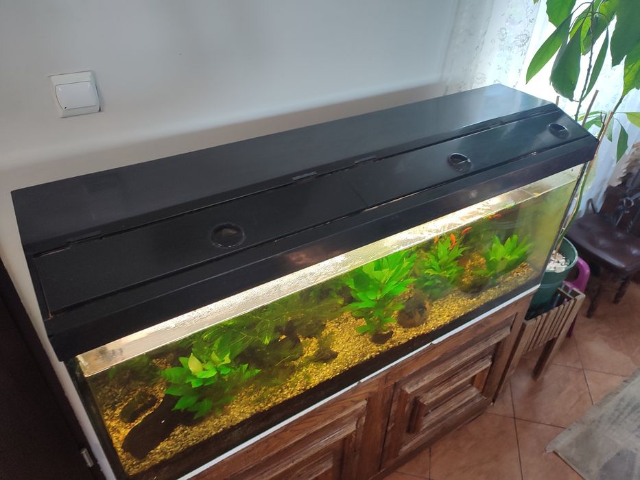 Akwarium 240 l z szafką
