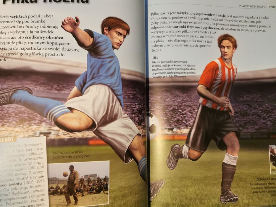 Książka Prawie wszystko o sporcie