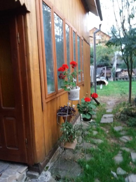 Оренда котеджа. Над Прутом