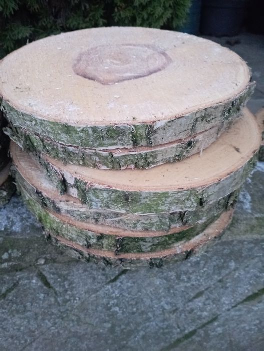 Plastry z brzozy, krążki drewna