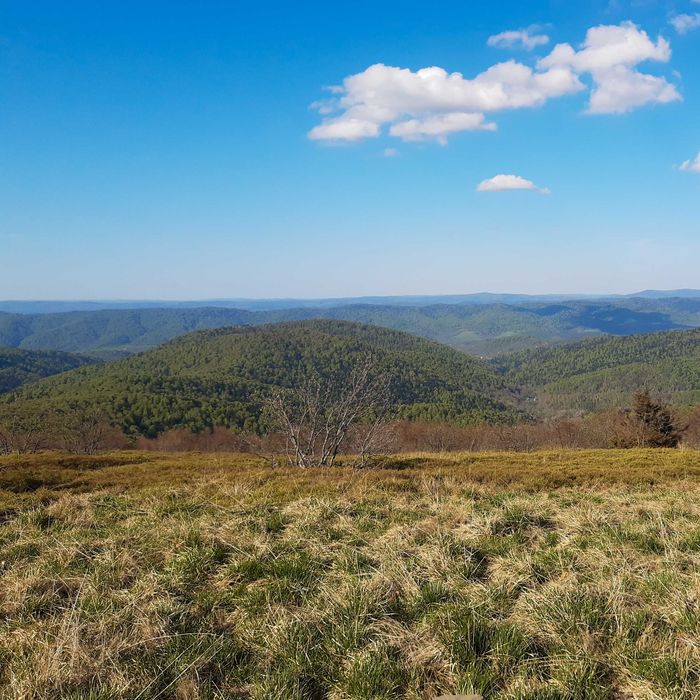 Noclegi w Bieszczadach Wetlina Domek "Sambukówka"