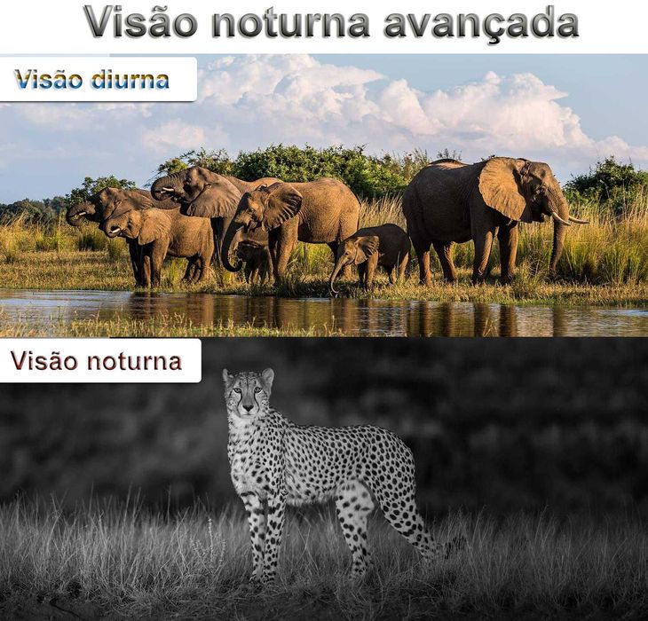 Camera de caça 4K 30mp 4G HC900PRO Hc-900 APP android ios telemovel64284541423490124