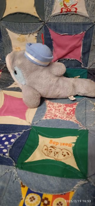 Заиц, дельфин , серые