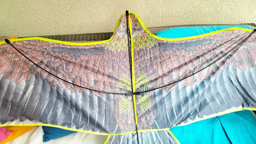 duży latawiec Orzeł