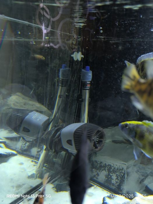 Aquário com tudo incluído mudança de casa