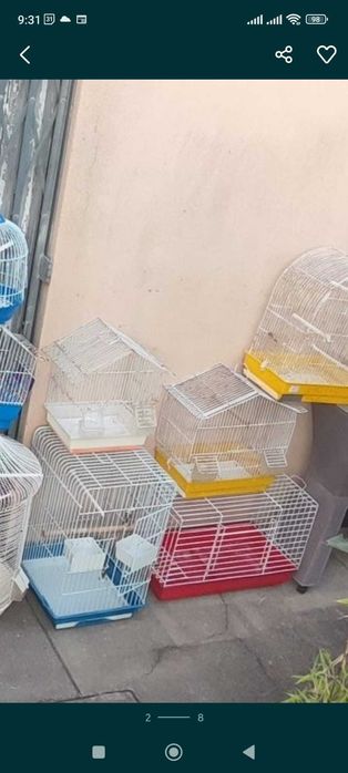 Tenho gaiolas par troca por aves agaporne ring neck caturras ou outras