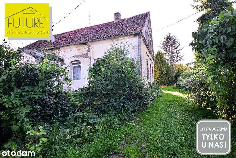 Pół domu w Drużnie