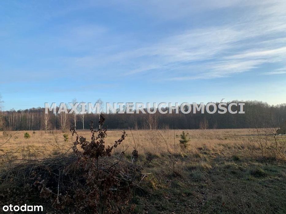 Działki z Wz w Latonicach gm Nowe Miasto