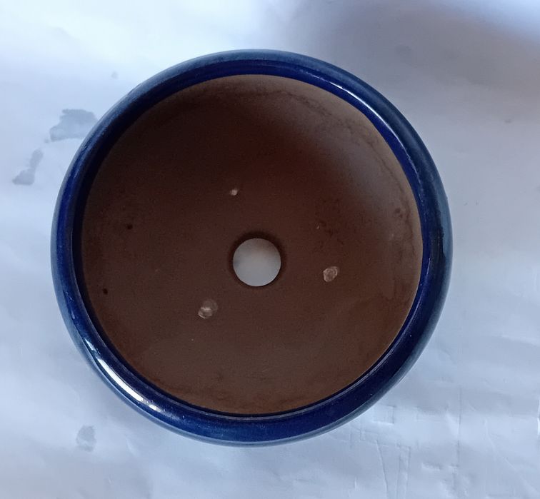 Vaso Bonsai redondo