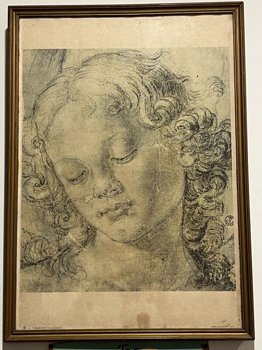 “Verrocchio – Testa d’angelo” (Cabeça de Anjo)