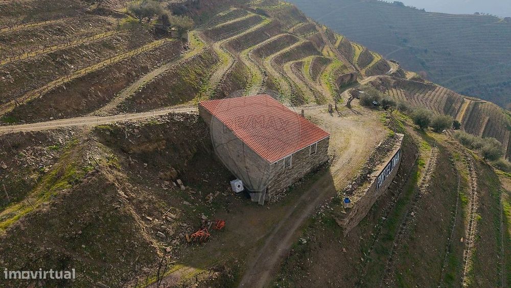 Estate for Sale
