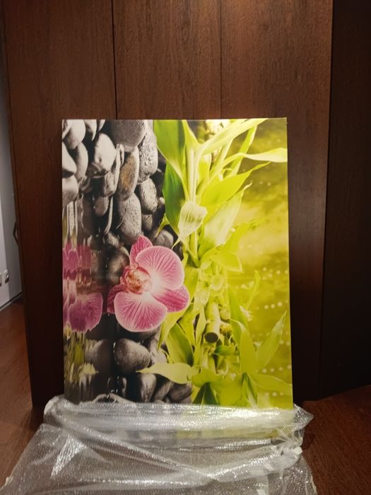 Nature Painting430225624746567682