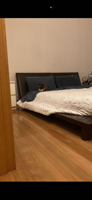Cama baixa de madeira maciça