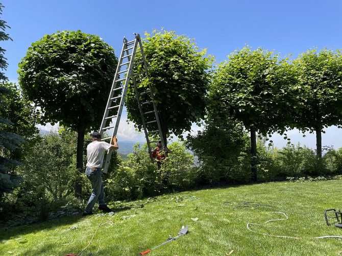Уход за садом, стрижка хвойников, кустов, деревьев, уборка мусора
