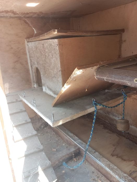 Gaiola para roedores