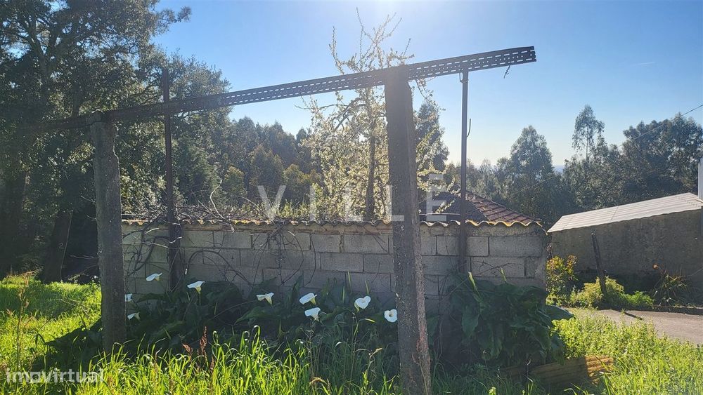 Terreno  Venda em Préstimo e Macieira de Alcoba,Águeda