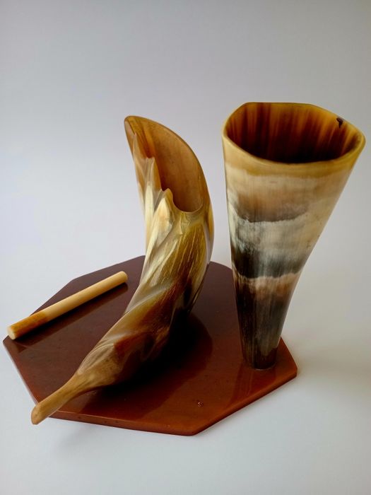 Органайзер настільний ріг Достатку рог Изобилия из рогів диких тварин