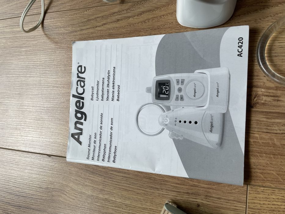 Elektroniczna niania