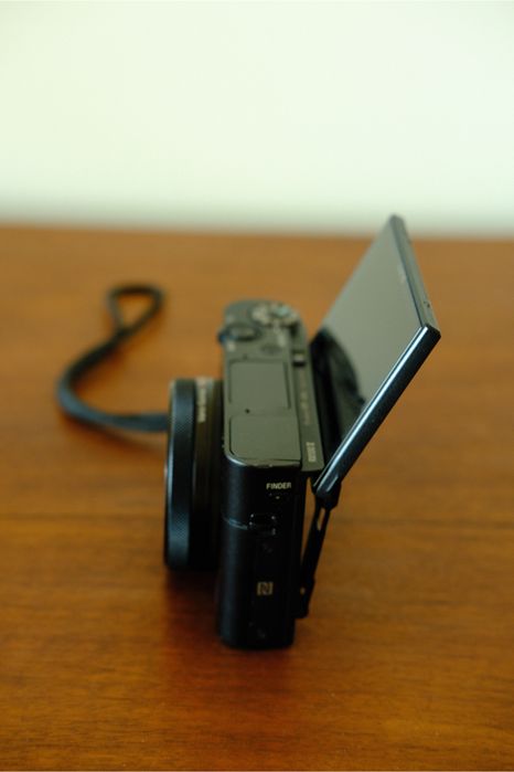 Sony RX100 V (Premium Point & Shoot)