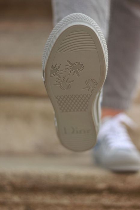 Dior Low Grey/Blue