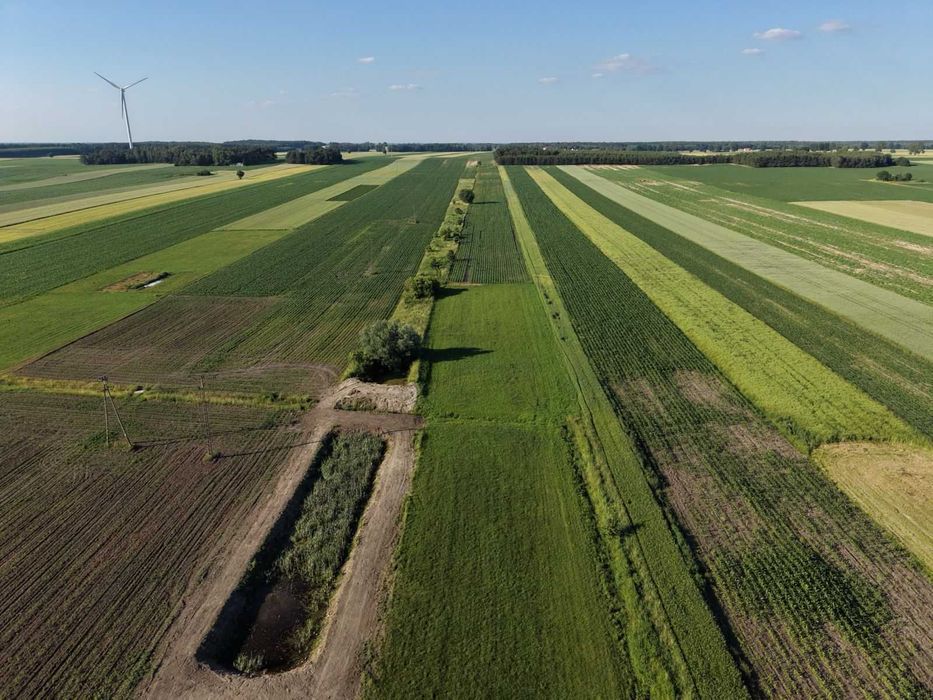 Działka budowlana z budynkami Krzyżanowice koło Iłży