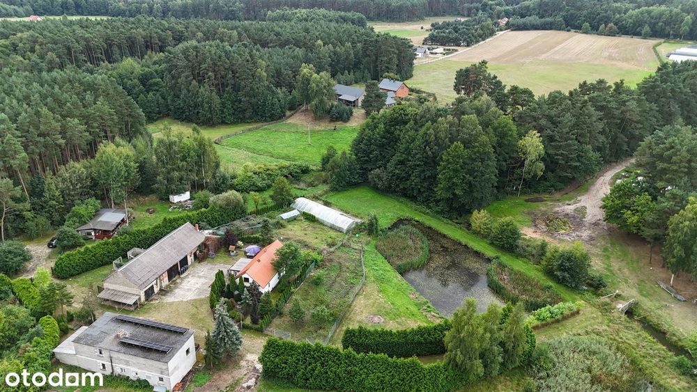 Twoje nowe miejsce do życia – dwa domy, staw, duża działka