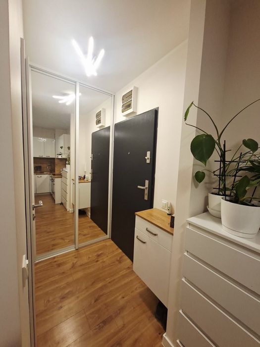 Mieszkanie 2 pokojowe do wynajęcia