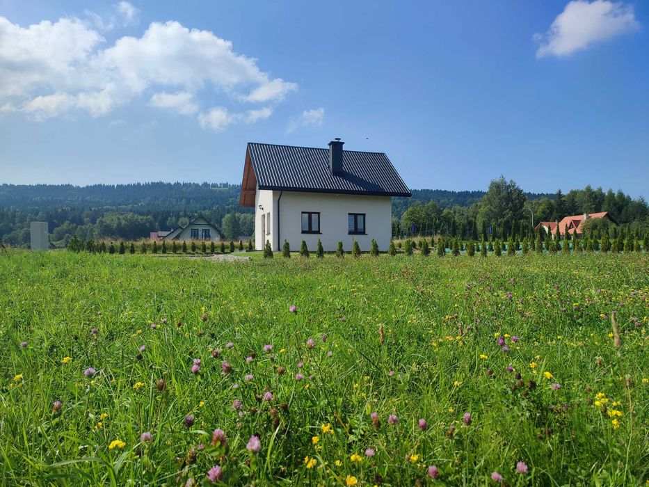 Domek pod Żukowem, kominek, Bieszczady, Widok na góry,Ustrzyki, Solina