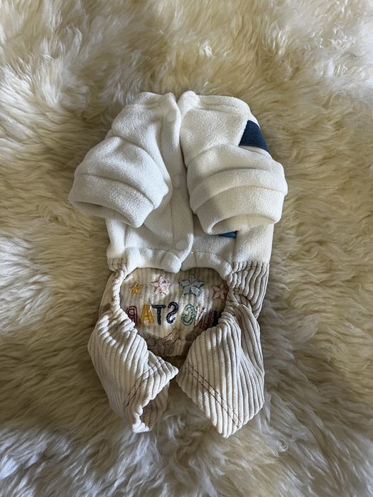 Одяг для маленького песика