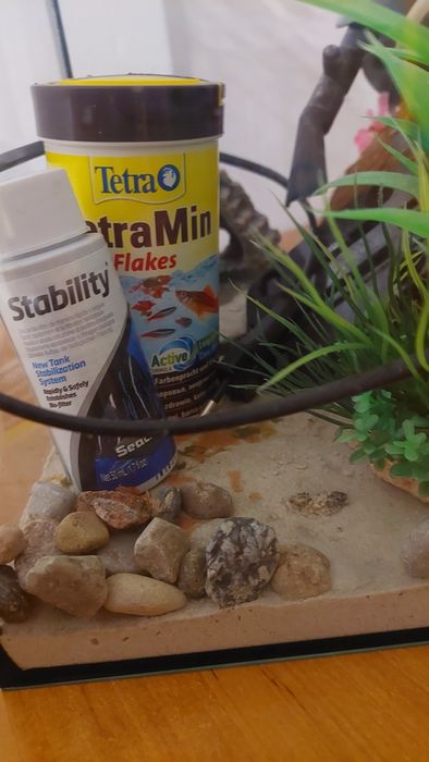 Akwarium  30l z wyposażeniem ozdobami