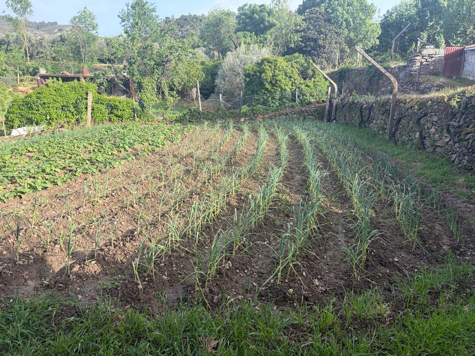 Terreno Ubano/Rural em Meireles, Vilas Boas