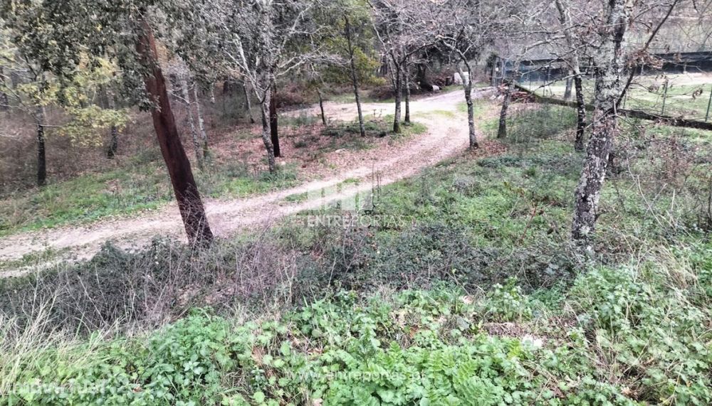 Venda Terreno, Gondar, Amarante