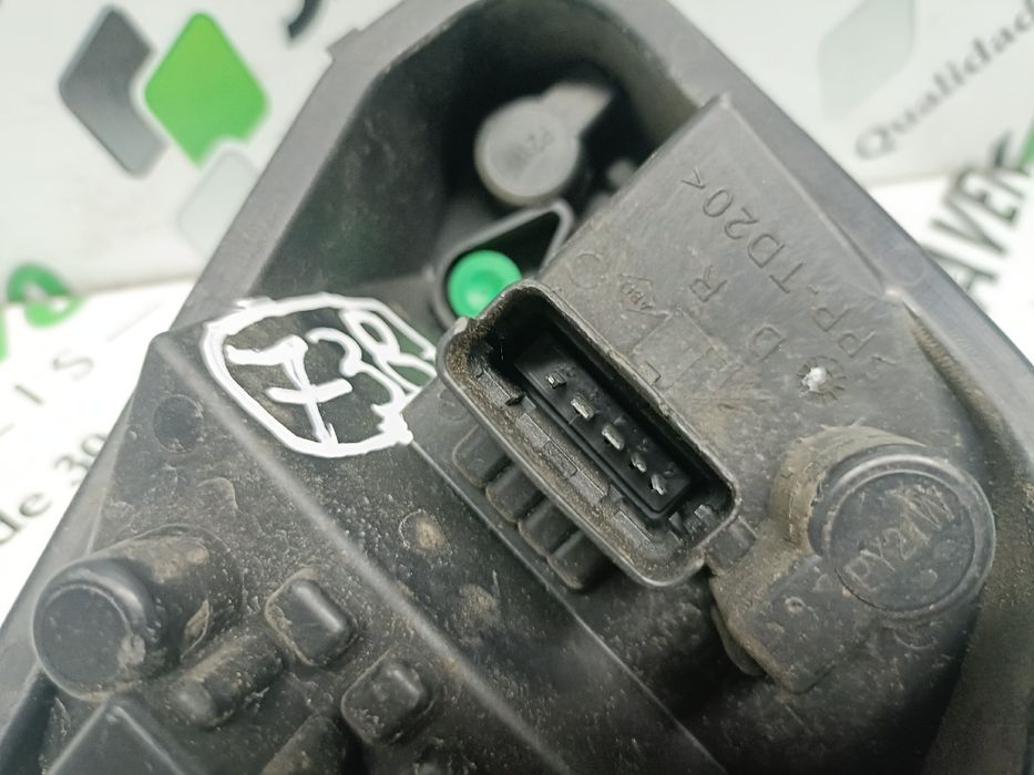 Suporte lâmpada direito RENAULT Clio III Société (SB_, SR_)