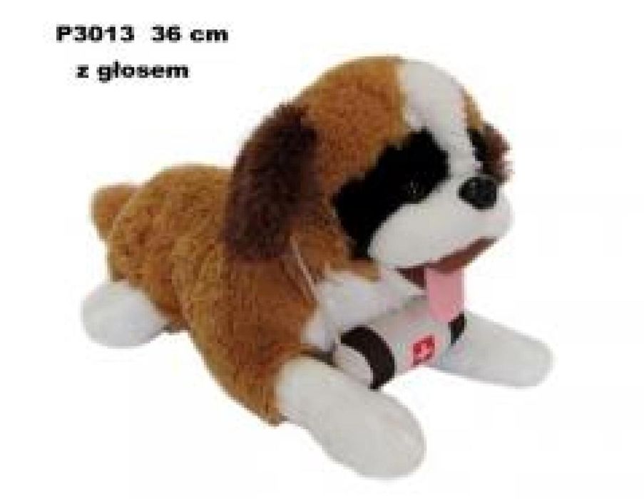 Bernardyn z głosem 36cm ,217x473 mm