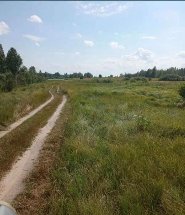 Гаряча пропозиція, Небрат, ділянка 55 соток осг, торг!