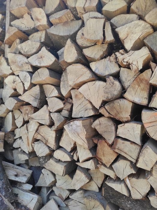 Drewno drzewo opałowe kominkowe opał suche transport