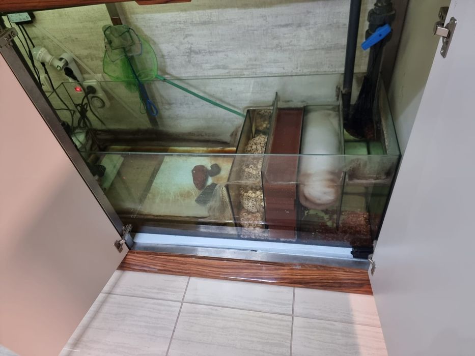 Aquário de 3 metros