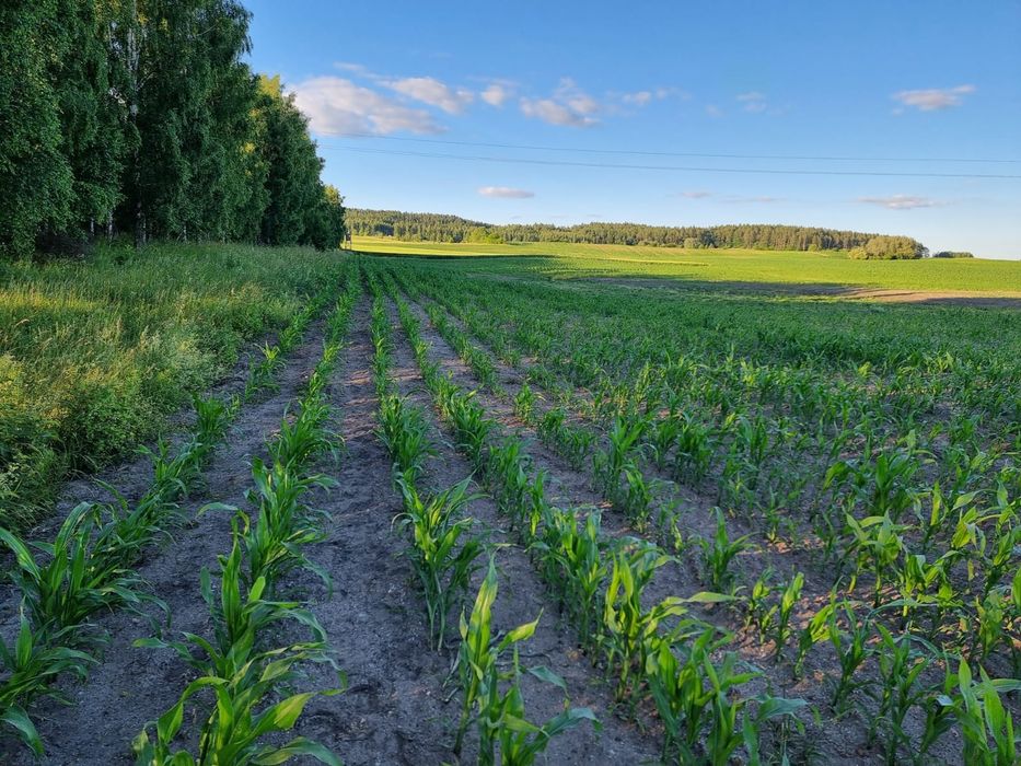 Ziemia rolna 6,32ha