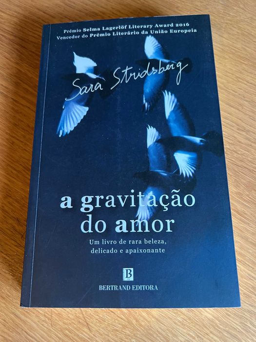 a gravitação do amor     SARA STRIDSBERG