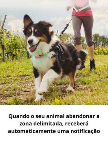 (NOVO) Localizador Rastreador Coleira GPS para Cão Gato