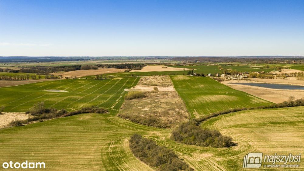Niesułów-Działka Rolna 6,39 Ha Klasa III