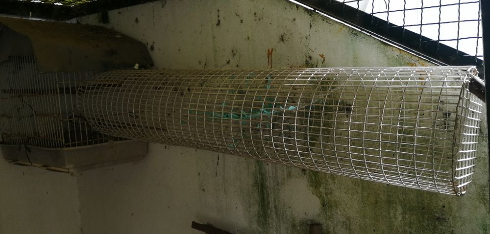 Gaiola para pássaros/ gaiola para melro