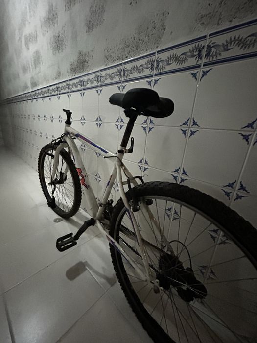 Carcaça / Quadro de Bicicleta