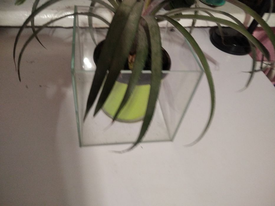 Аквариум квадратный 170мм на 170мм