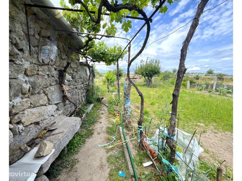 Quinta para venda em Alcains.
