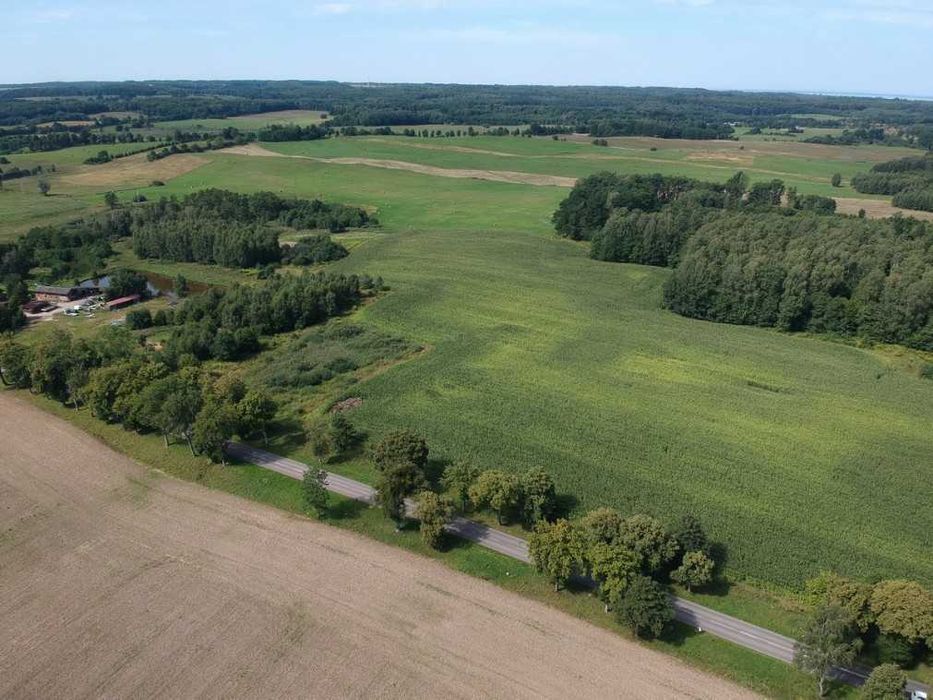 7,4 HA GRUNTU ROLNEGO – HUTA ŻUŁAWSKA – Asfalt – Blisko Elblaga